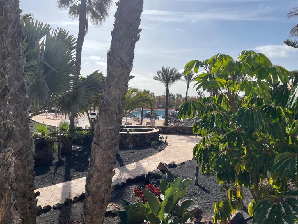 Casa Mari Y Jose Con Grandes Piscinas Y Wifi Gratis Apartment Corralejo Exterior photo